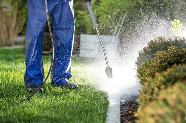 Cost of Curb Cleaning in Lehigh Acres