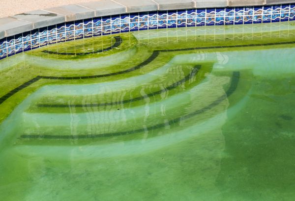 Cost of Pool Deck Algae Removal in Lehigh Acres