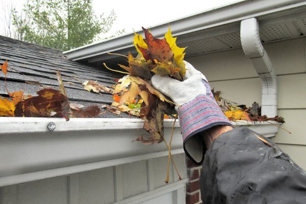 Cost of Eaves Cleaning in Lehigh Acres