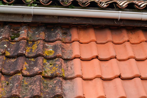 Industrial Roof Cleaning in Lehigh Acres
